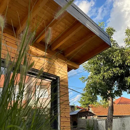 Verte House * Alba Iulia